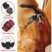 Slowton Dog Harness with Seat Belt for Car | Breathable Latex Network Tissue | Safety Harness for Everyday Sports | Vermilion Color | Size S - Buy Online on GoSupps.com