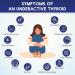 Thyroid Support Supplement for Men & Women | Iodine Vitamin B12 Ashwagandha & More | Boost Hormonal Health & Energy | Non-GMO - Buy Online on GoSupps.com