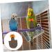 IPLUSMILE 3ST Flying Bird Diapers - Neoprene Pet Pants for Nymphensittich | Comfortable Cotton Bird Costumes | 12x6cm 3pcs - Buy Online on GoSupps.com