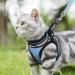 Rabbitgoo Adjustable Cat Dishes Set with Leash - Soft Reflective Stripes for Cats & Kittens - Light Blue - Buy Online on GoSupps.com