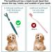360 Dog Toothbrush Set - 4 Triple Head Toothbrushes for Deep Pet Dental Care | International Shipping - Buy Online on GoSupps.com