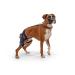 Balto Jump CCL Brace Dog Knee Brace Brace with Aluminum Splints Pre/Post Surgery Support Helps Prevent New Injuries Left Leg Large Left Leg Large