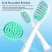 8 Pack Soft Replacement Toothbrush Heads | Compatible with Philips Sonicare | Click-on Design | High-Quality Brush Heads - Buy Online on GoSupps.com