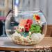 Yukihalu Mini Aquarium Heater with Thermometer - 25W 50W 100W 200W for 1-150L Aquariums - External Temperature Controller - Buy Online on GoSupps.com