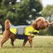 Alagirls Little Dog Lifeguard Vest - Reflective Safety Life Jacket for Small Dogs | Pet Life Preserver with Rescue Handle - Yellow (48-58cm Chest) - Buy Online on GoSupps.com