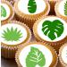 24 edible PRE CUT Jungle rainforest leaves kids childrens party decorations Wafer Paper Cupcake Topper Cake - Buy Online on GoSupps.com