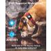 IP68 Waterproof AirTag Dog Collar Holder - Durable TPU Case for Cats & Dogs - Compatible with Apple AirTag - 2.5cm Inner Hole - Buy Online on GoSupps.com