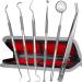 Dental care instrument set plaque cleaner tartar remover 6 stainless steel mound care instruments with case premium tooth cleaning for adults children and pets gray gris