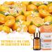 20% Vitamin C Serum for Face - Anti-Aging & Dark Spot Treatment with Vitamin E Hyaluronic Acid & Aloe Vera - Buy Online on GoSupps.com