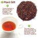 Premium Cocoa Rooibos Tea Blend - 70g Loose Leaf | Exotic Mixed Fruit Flavor for Hot & Iced Tea - Buy Online on GoSupps.com
