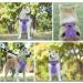 Buy Eyin Adjustable Dog Harness for Medium Dogs - Breathable Reflective Padded with Handle Perfect for Daily Training (Purple M) - Buy Online on GoSupps.com