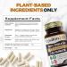 Epsilon Life Magnesium Glycinate - 120 Capsules - Buy Online on GoSupps.com