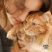 Natural Pet Oral Care Spray: Fights Plaque, Tartar & Gum Disease for Dogs and Cats - Buy Online on GoSupps.com