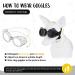 Stylish Panda UV Glasses for Small Dogs - Eye Protection & Windproof Cat Glasses - Buy Online on GoSupps.com