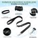 Eyein No-Pull Dog Harness with Leash Adjustable Padded & Reflective for Small to Large Pets Black (M) - Buy Online on GoSupps.com