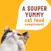 Friskies Lil' Soups Cat Food Complement Chicken and Butternut in Velvety Broth - 34 g Cup (8 Pack) Chicken & Butternut Squash in Broth - Buy Online on GoSupps.com