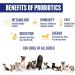 Premium Dog Probiotics 5BIL CFUs | 12 Strains Good Bacteria for Gut & Skin Health | Immune Support & Itch Relief | Salmon Flavored Chews for All Breeds & Ages - Buy Online on GoSupps.com