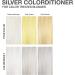 Celeb Luxury Viral Silver Colorditioner with BondFix Rebuilder - 10 Vibrant Colors - Stops Fade, Cruelty-Free & Vegan - Buy Online on GoSupps.com
