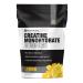 Creatine Monohydrate Gummies by NutraOne Pre- and Post Workout Recovery Fuel Muscular Performance Increase Endurance Support Muscle Recovery (Lemon - 30 Servings)
