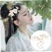 Beavorty 1 Pair antique hairpin headdress hanfu tassel clip chinese hair comb wedding hair chinese style hair clips bridal hair comb tassel hair clip emerald flower girl bride alloy - Buy Online on GoSupps.com
