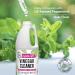 Mighty Mint Vinegar Cleaner - Non-Toxic All-Purpose Cleaner for Household Surfaces | Natural Mint Scent | 32 oz - Eco-Friendly Shipping Worldwide - Buy Online on GoSupps.com