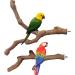 Allazone 3-Piece Nature Bird Accessories Set | Wooden Ladder Pole & Toys for Parrots & Canaries - International Shipping Available - Buy Online on GoSupps.com