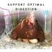 Manna Pro Omega Egg Maker Chicken Feed Supplement - 5 Pounds - Buy Online on GoSupps.com