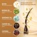 Beard Growth Kit for Men - Natural Oil for Thicker Softer Facial Hair | Batana Rosemary & Castor Oil with Biotin - Buy Online on GoSupps.com