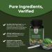 Pure Green Coffee Bean Extract 50% Chlorogenic Acid Weight Loss Supplement for Men & Women | Burns Fat & Sugar | High Grade Ingredients - Buy Online on GoSupps.com