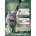 Reflective Airtag Cat Neck Band - Light Tracker Collar with Bell for Kittens & Cats - Red - Buy Online on GoSupps.com