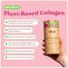 Rheal Plant Collagen Increase Collagen Production for Healthier, Younger Looking 150g - Buy Online on GoSupps.com
