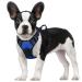 Rabbitgoo dog harness medium -sized dogs anti train crockery dog with control no pull adjustable dog dishes large dogs breathable reflex stripes breast harness dog safe guidance blue s s (1 Pack) blue