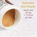 Buy Host Defense Turkey Tail Mushroom Powder Supplement - 3.5 Ounce | Boost Immunity & Health - Buy Online on GoSupps.com