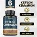 Ceylon Cinnamon 6in1 Supplement 6050mg with Apple Cider Vinegar, Turmeric, Ginger, Panax Ginseng - 120 Vegetarian Pills for Energy and Body Balance - Buy Online on GoSupps.com