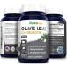 Olive Leaf Extract 750mg - 50% Oleuropein - Vegan & Non-GMO - Gluten Free - Super Strength Supplement - 120 Capsules - Buy Online on GoSupps.com