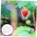 FUNOMOCYA 4pcs Strawberry Mold Small Fragrant Pear Modeling Melon - Buy Online on GoSupps.com