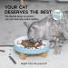 GOODSKY Raised Cat Dog Slow Feeder Bowl with Stand - Ceramic Elevated Anti-Skid Pet Bowl for Healthy Eating - 3 High, 8.5 Wide Fish-bone Blue - Buy Online on GoSupps.com