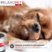 Relaxopet Pro: T V Certified Calming Trainer for All Dogs - High-Frequency Sound Therapy | As Seen on Lion's Cave - Buy Online on GoSupps.com