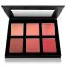 SHANY Shimmer & Matte Powder Blush Makeup Palette with Mirror - BLUSH - Powder Blush - Buy Online on GoSupps.com