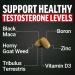 Force Factor Test X180 Multivitamin Testosterone Support Multivitamin for Men with 50+ Nutritional Ingredients & 13 Essential Vitamins to Help Support Muscle Strength Energy & Vitality 120 Tablets - Buy Online on GoSupps.com
