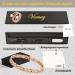 Vicmag Lymphatic Drainage Magnetic Bracelet for Women - Titanstahl Ultrast-Strong Magnets Rose Gold Crystal X Shape Gift Box Included - Buy Online on GoSupps.com