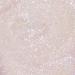 Profusion Cosmetics Luminous Glow Liquid Highlighter - Summer Essential Makeup (Blossom) - Buy Online on GoSupps.com