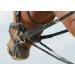 Buy BUSSE Thiedemann Combination for Warmblood - Black with Nickel-Plated Fittings | International Shipping Available - Buy Online on GoSupps.com