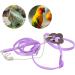 Adjustable Lizard Harness - Bearded Dragon Leash for Reptile Walking Control - Buy Online on GoSupps.com