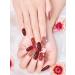 Kalolary 20PCS Nail Gel Polish Strips Full Wraps Nail Polish Stickers Cured Gel Nail Strips Self-Adhesive Gel Nail Wrap Stickers Decals with Nail File and Stick(UV/LED Lamp Required) (NJTZ-NG200266) - Buy Online on GoSupps.com