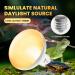 Luxvista 2Pack 100W Reptile Heat Lamp Bulb E27 Basking Bulb Warm White Light Heat Bulb Dimmable Heat Lamp for Puppies/Reptiles/Lizards/Tortoise/Chicks/Amphibian/Bearded Dragon 2700k Warm White 2pack E27 Heat Bulb - Buy Online on GoSupps.com
