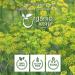 Organic Fennel Seed Powder - Digestive Aid | Raw, Vegan, Non GMO | USDA Certified | 1lb (16oz) | From India - Buy Online on GoSupps.com