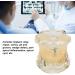 Buy Verdant Touch Transparent Dental Implant Model - Ideal Teaching Aid for Pathology & Dental Studies | International Shipping Available - Buy Online on GoSupps.com