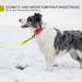 Toozey Waterproof Drag Line for Dogs - 3m 5m 7m 10m 15m 20m - Robust Leash with Hand Loop & Mains Bag - Perfect for All Dog Sizes - Neon Yellow - Buy Online on GoSupps.com