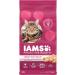 IAMS Proactive Health Dry Cat Food Adult - Sensitive Digestion & Skin (Turkey) + Urinary Tract Health (Chicken) 2.272 kg (Pack of 1) Cat Food + Cat Food 3.18kg - Buy Online on GoSupps.com
